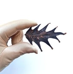 a person's hand holding a leaf in front of a white sky with no clouds