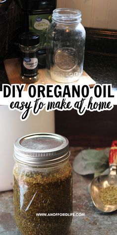 How to make homemade oregano oil Diy Oregano Oil, Oregano Oil Benefits, Oregano Essential Oil, Homemade Oil, Oregano Oil, Natural Antibiotics, Herbal Healing, Homemade Diy