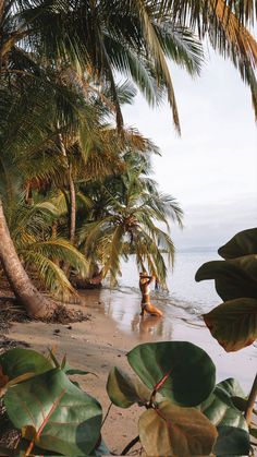 a woman is sitting in the water near some palm trees on a beach with her surfboard