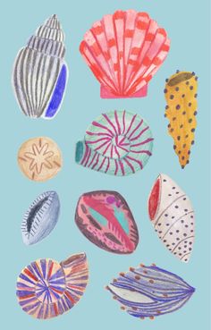 an image of seashells drawn in colored pencils on paper with blue background