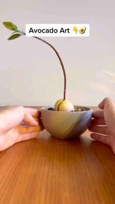 two hands holding a bowl with an apple in it on a table next to another person's hand