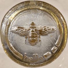 a bee is on the side of a glass plate