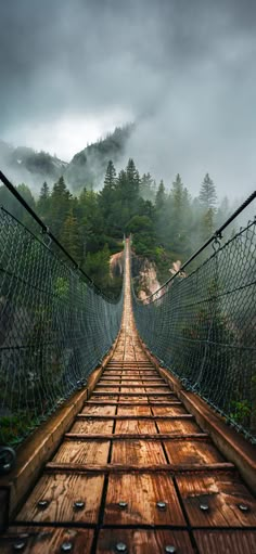 a suspension bridge in the middle of a forest