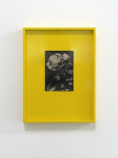 a yellow frame with a black and white flower in it on the wall next to a painting