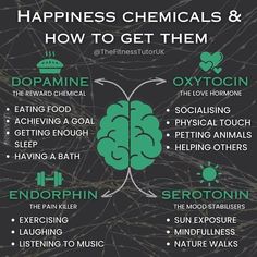 Happiness Chemicals, Self Improvement Tips, Mental Wellness, Emotional Health, Health And Wellbeing, Holistic Health, The Words