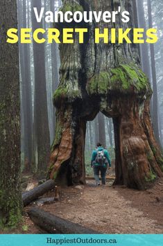 a person standing in front of a giant tree with the words vancouver's secret hikes