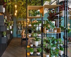 a woman sitting at a desk in front of a shelf filled with potted plants