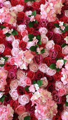 many pink and red flowers are arranged in the shape of a flower arrangement with green leaves