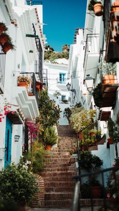 an alleyway with potted plants and flowers on the steps leading up to buildings