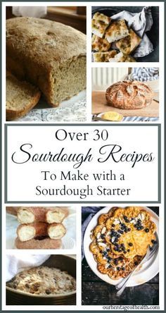 over 30 south coast recipes to make with a sourdough starter