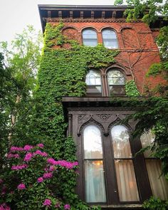 an old brick building covered in vines and flowers with purple flowers growing on the side