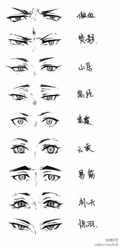 an image of various eyes with chinese writing on them