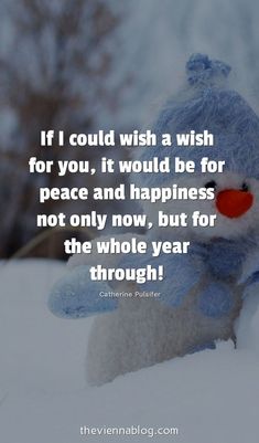 a teddy bear sitting in the snow with a caption that reads if i could wish a wish for you, it would be for peace and happiness not only, but for the whole year through