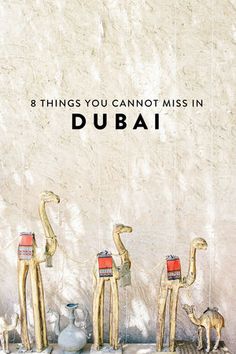 three camels and two giraffes with the words 8 things you cannot miss in dubai