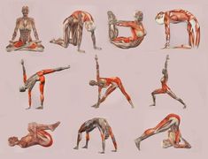 an image of a woman doing yoga poses in different positions on her stomach and back