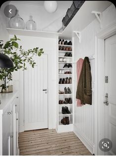 a white closet filled with lots of shoes next to a potted plant and lamp