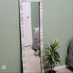 a plant is sitting in front of a mirror