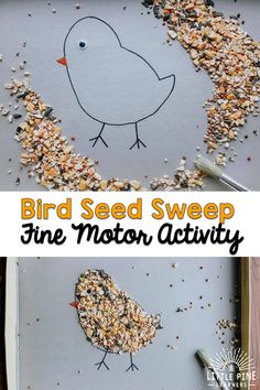 bird seed sweep fine motor activity for kids