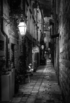 an alleyway with potted plants and street lights on either side, in the evening