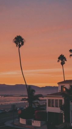 palm trees are silhouetted against an orange and pink sunset over the ocean in santa cruz, california