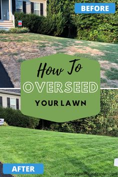 the before and after pictures of lawn mowing in front of a house with grass