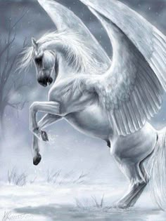 a white horse with wings is in the snow