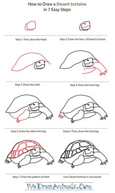 how to draw a tortoise step by step instructions for kids and beginners