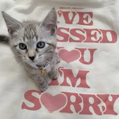 a small kitten sitting on top of a t - shirt that says i've used you som sorry