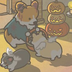 an image of a corgi with pumpkins on it