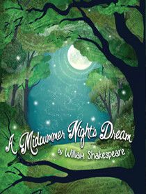 a midsummer night's dream book cover with trees and the moon in the sky