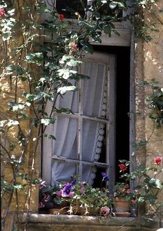 an old window with vines growing out of it and flowers in the window sill