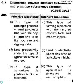 some type of language that is used to describe what things are in the text and how they