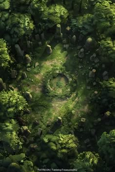 an aerial view of a forest with lots of trees and rocks in the middle of it