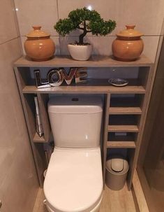 a white toilet sitting in a bathroom next to a shelf with potted plants on it