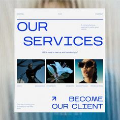 the front cover of our services brochure is blue and has images of flowers