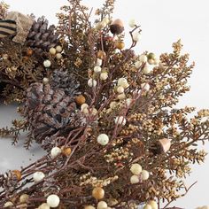 a bunch of plants that are next to each other on a white surface with pine cones and berries