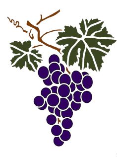 a bunch of grapes hanging from a vine on a white background with the word grape written below it