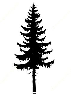 a black and white silhouette of a pine tree