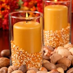 two candles sitting on top of a pile of nuts