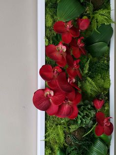 an arrangement of red flowers and green plants in a white frame on the wall with moss