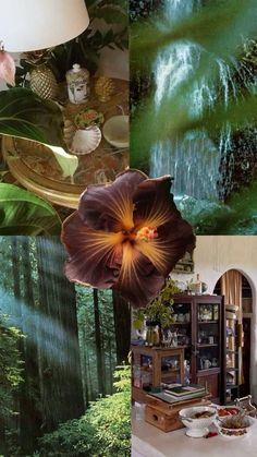 a collage of photos with flowers, plants and other things in the photo below