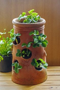 several potted plants are arranged in the shape of a tower on a wooden table