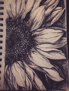 a drawing of a sunflower in black and white