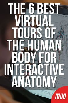 the 6 best virtual tours of the human body for interactive anatomy book cover art print