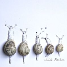 five snails are lined up in a row