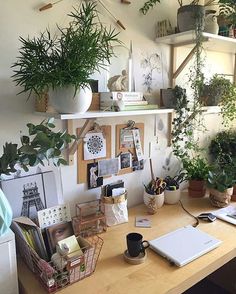 a wooden desk topped with lots of plants