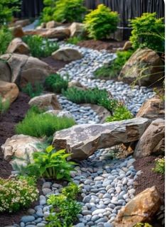 a garden with rocks and plants in it