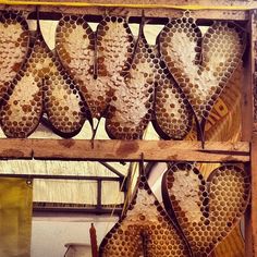 several pairs of shoes are on display in a shop with honeycombs hanging from the ceiling