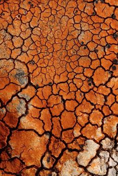 an orange and white rock with cracks in it