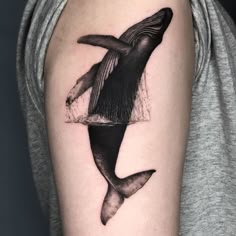 a black and white photo of a whale on the arm